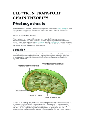 Acids and Bases Theories from Labster Simulation - Acids and bases A ...