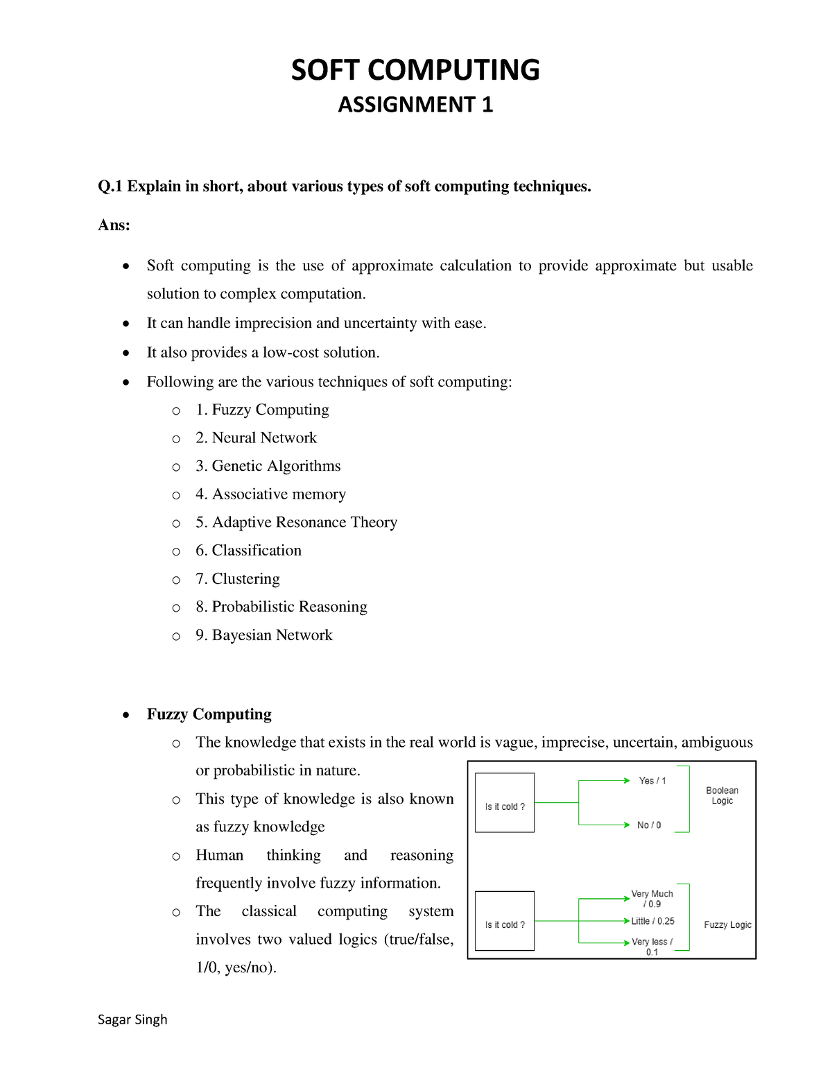 soft computing assignment questions