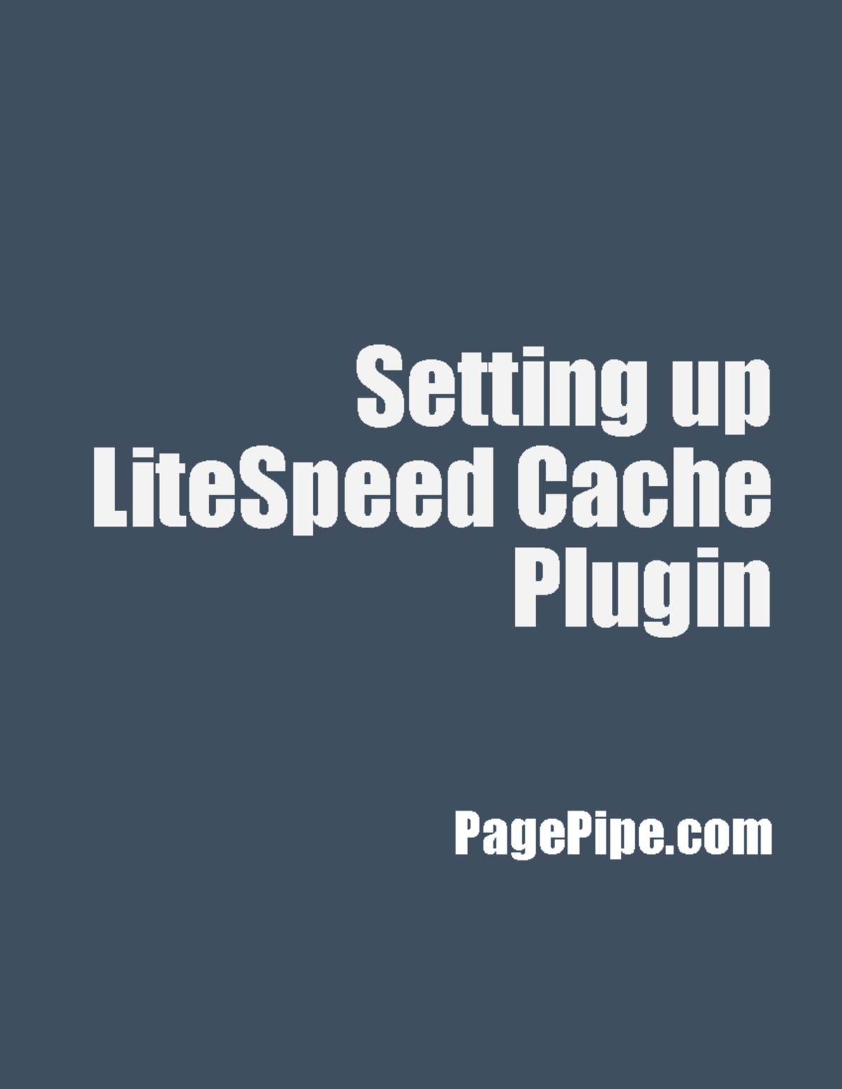 Litespeed Cache dan Adsense: Optimasi Performa dan Pendapatan Website Anda
