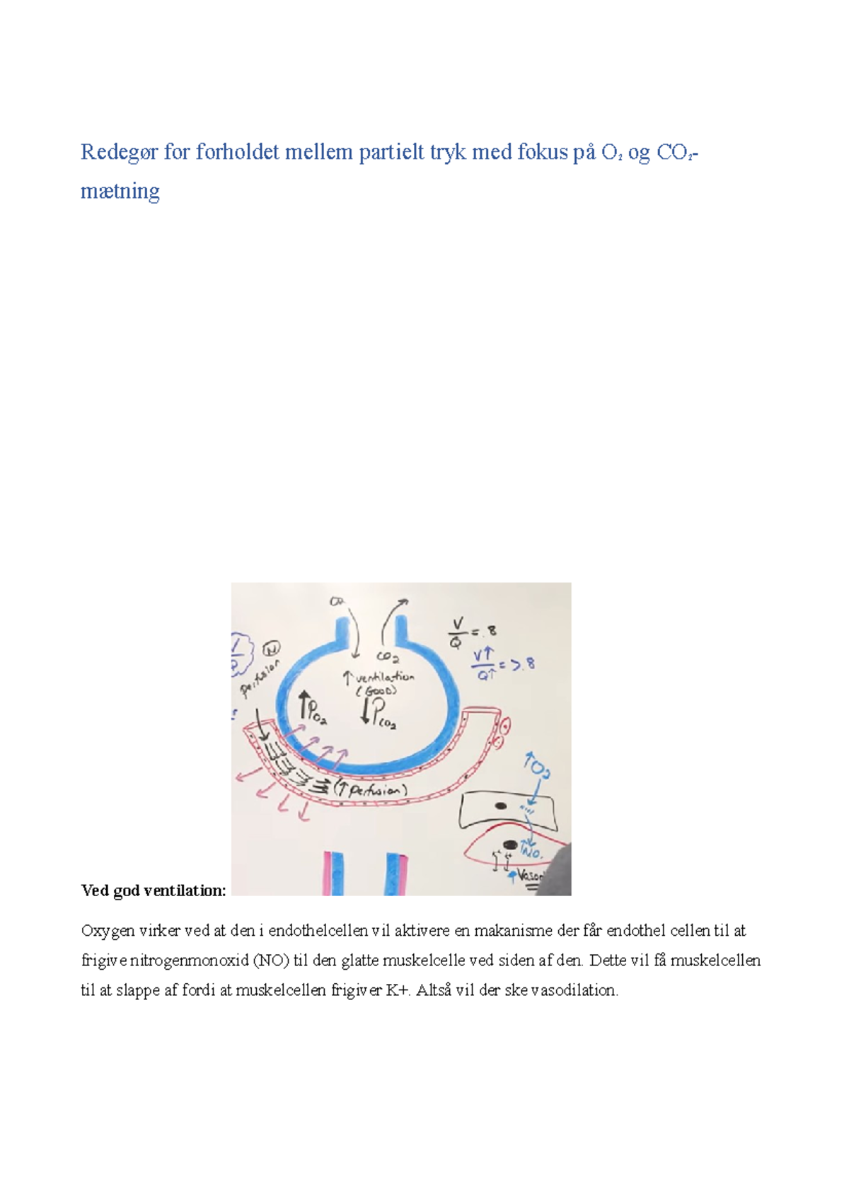 Forholdet mellem partielt tryk med fokus på O2 og CO2-mætning - Redegør ...