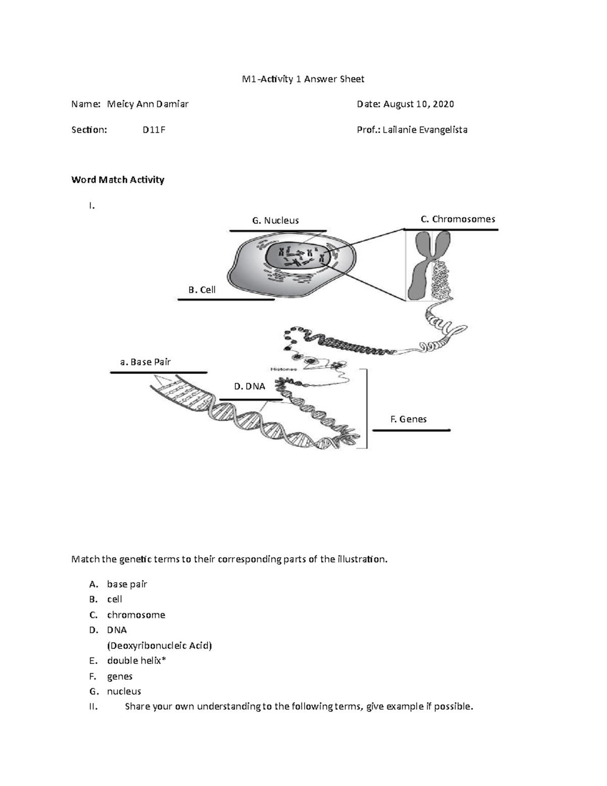 Genetics Matching - M1-Activity 1 Answer Sheet Name: Meicy Ann Damiar ...