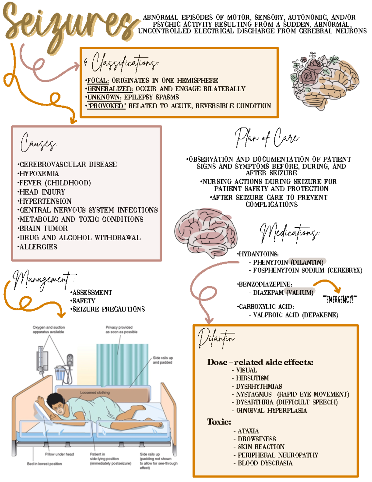 Seizures Abnormal episodes of motor, sensory, autonomic, and