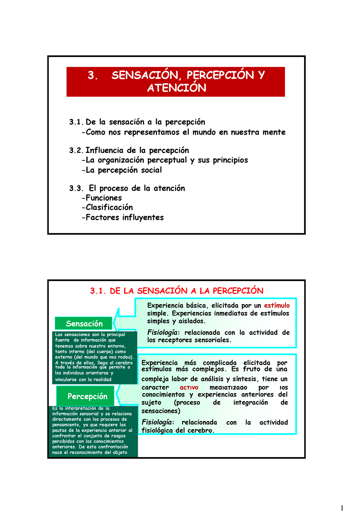 Tema 3. Sensación, Percepcion Y Atención - 3. SENSACI”N, PERCEPCI”N Y ...