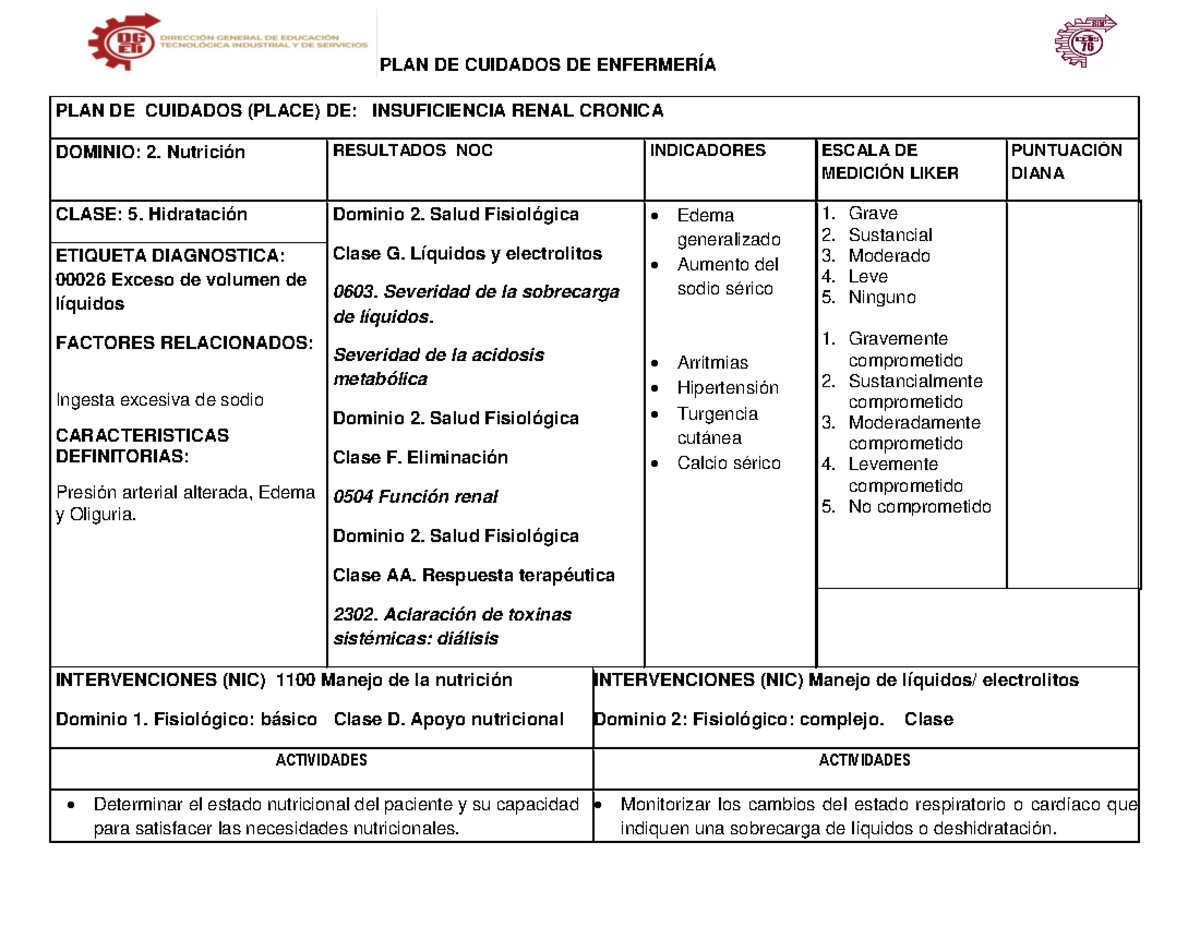Place Insuficiencia Renal 2 - PLAN DE CUIDADOS DE ENFERMERÍA PLAN DE