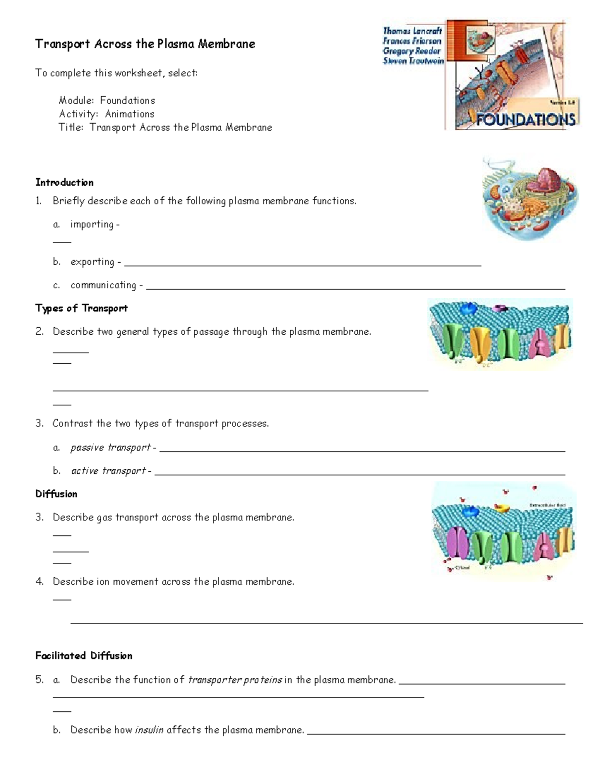 Active And Passive Transport Worksheet