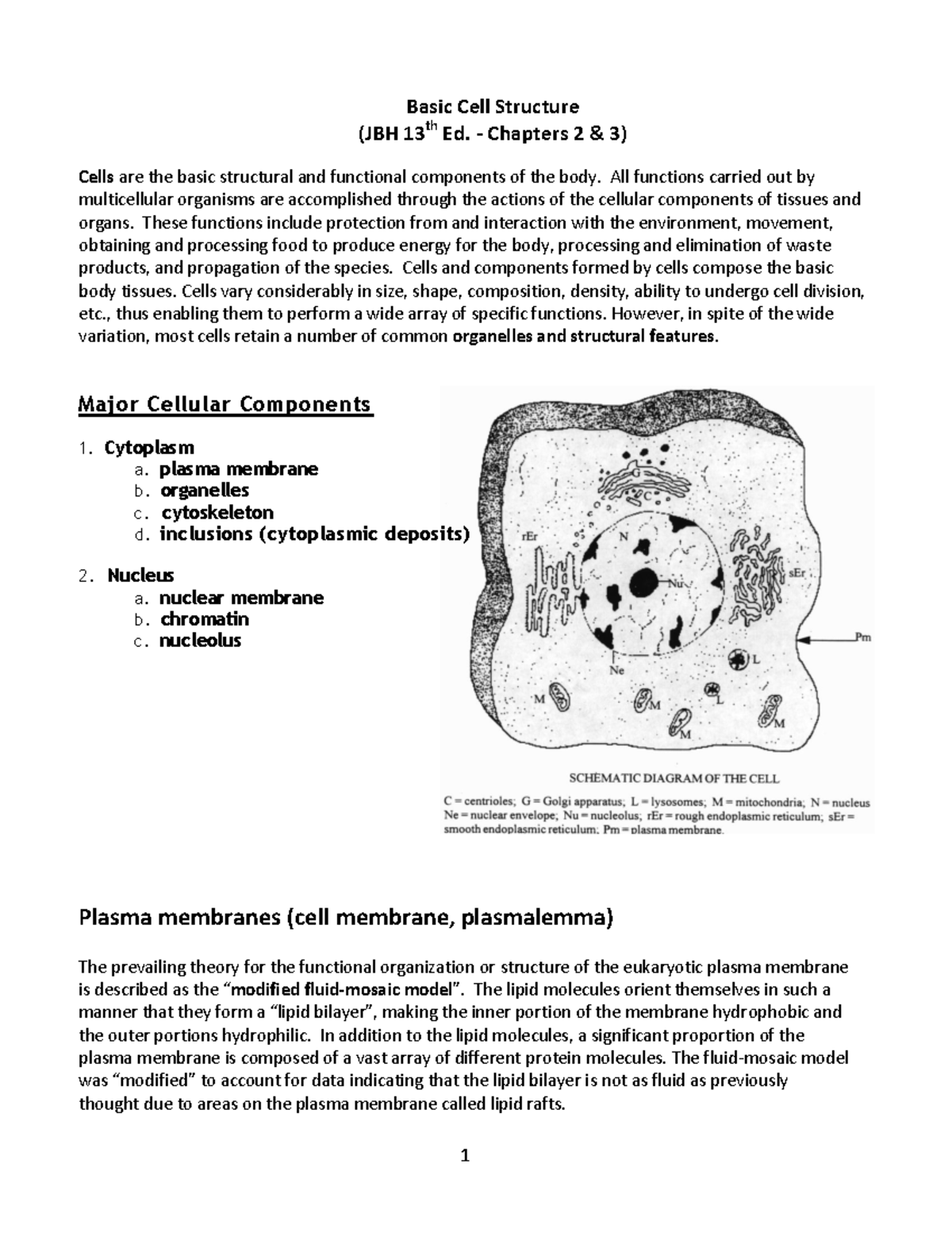 Basic Cell Structure 2017 - Basic Cell Structure (JBH 13th Ed ...