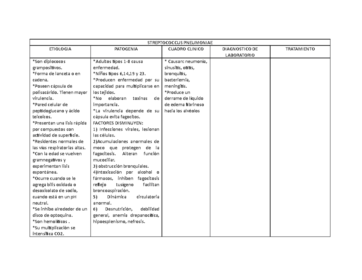 Streptococcus Pneumoniae - STREPTOCOCCUS PNEUMONIAE ETIOLOGIA PATOGENIA ...