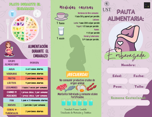 Regímenes Básicos - Mariela - Regímenes Básicos Alimentación Normal ...