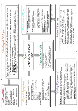 COPD Concept Map - NURS 2040 - Studocu