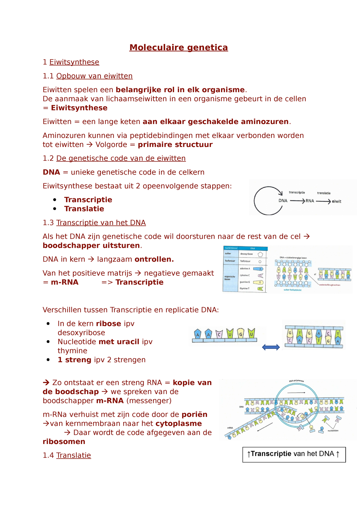 Thema 7 Moleculaire Genetica - Moleculaire Genetica 1 Eiwitsynthese 1 ...