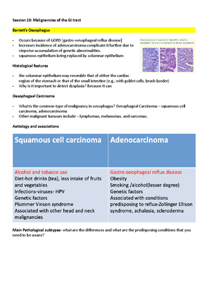 Histology slides - Tounge Submandibular oesophagus Stomach pancreas ...