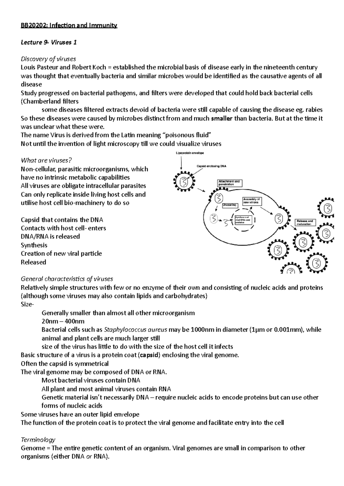 BB20202- Viruses (part 1) - BB20202: Infection And Immunity Lecture 9 ...