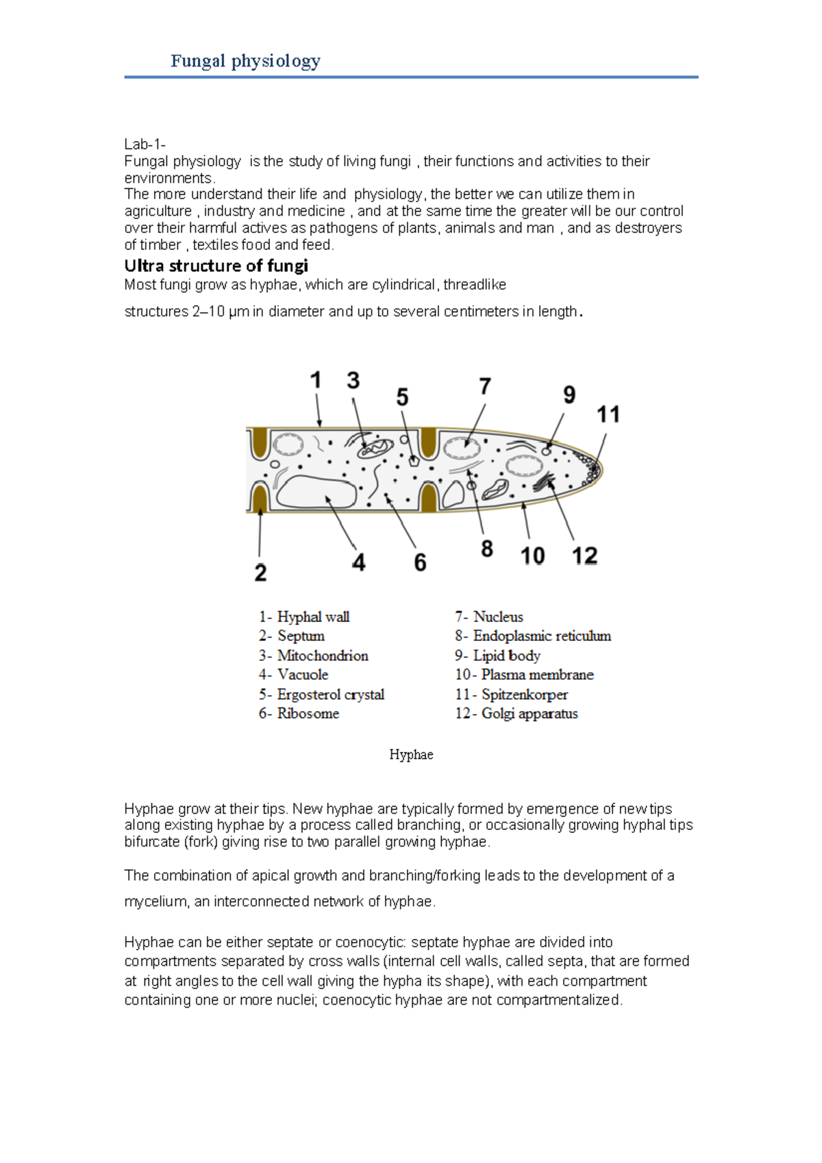 Fungal physiology - Lab-1- Fungal physiology is the study of living ...