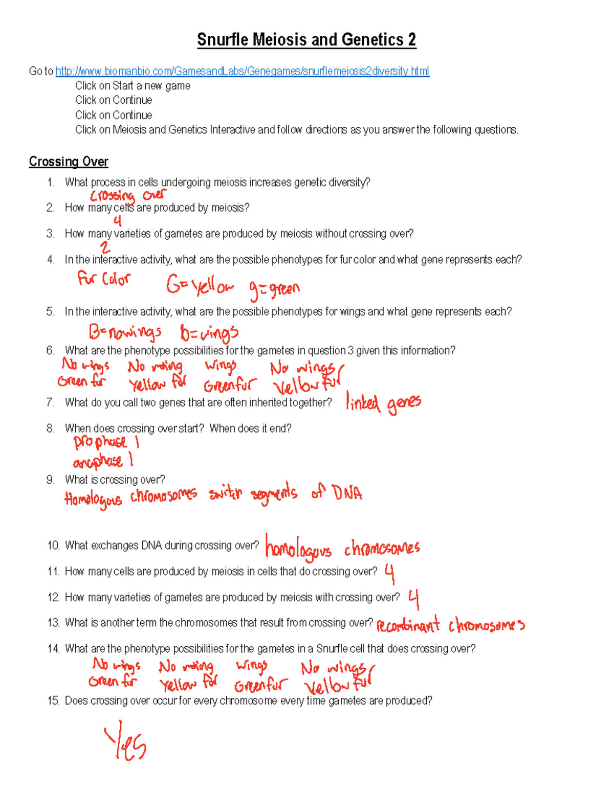 Bioman Snurfle Meiosis and Genetics 2 Worksheet 281 29 Snurfle