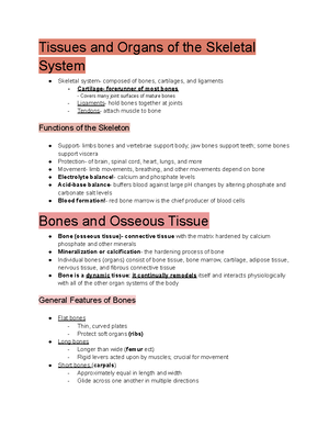 Ch. 9 PPT - Chapter 9 Notes - Joints and Their Classification Joint ...