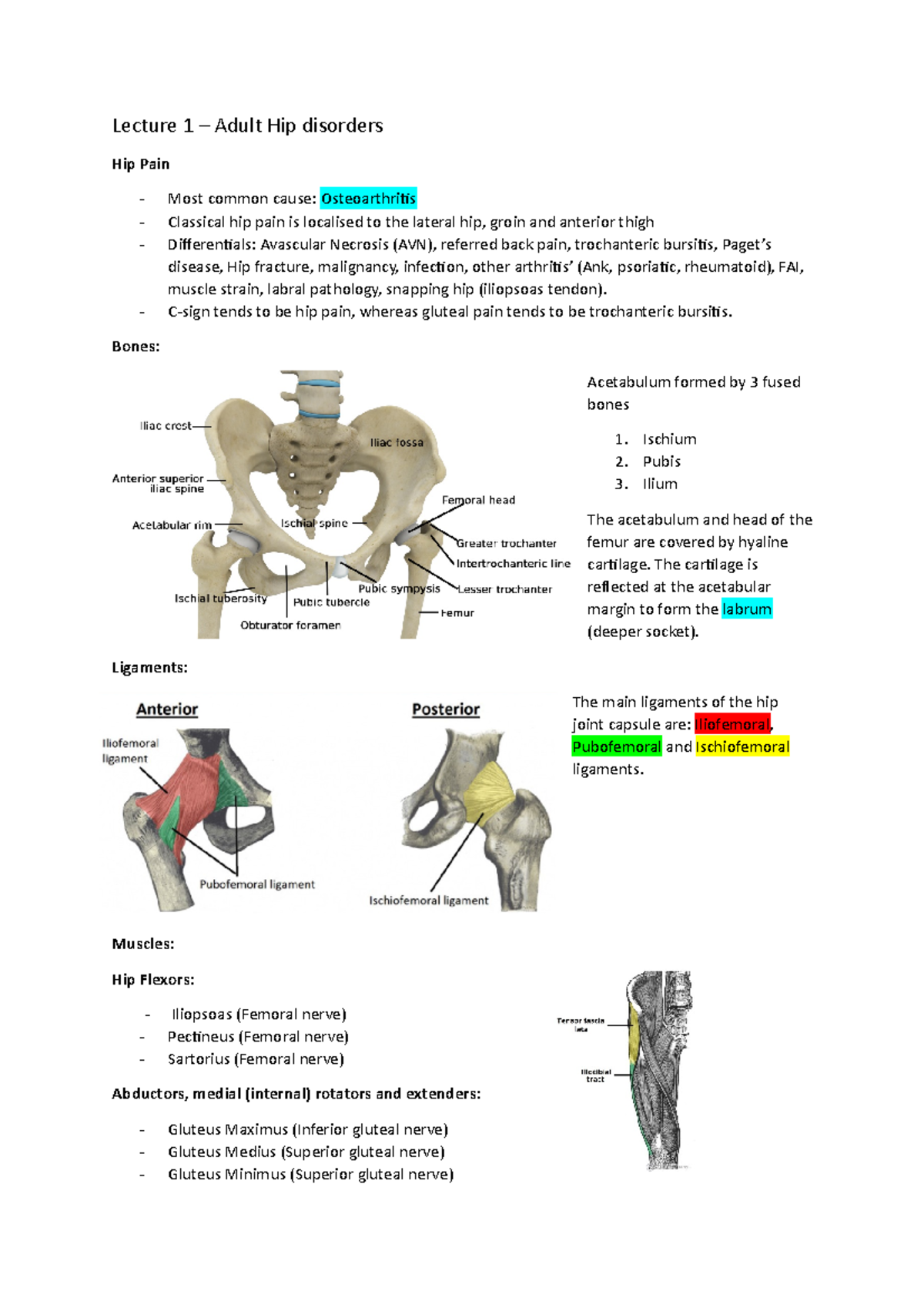 Orthopaedics - Year 3 MSK lecture notes from MED Portal - Lecture 1 ...