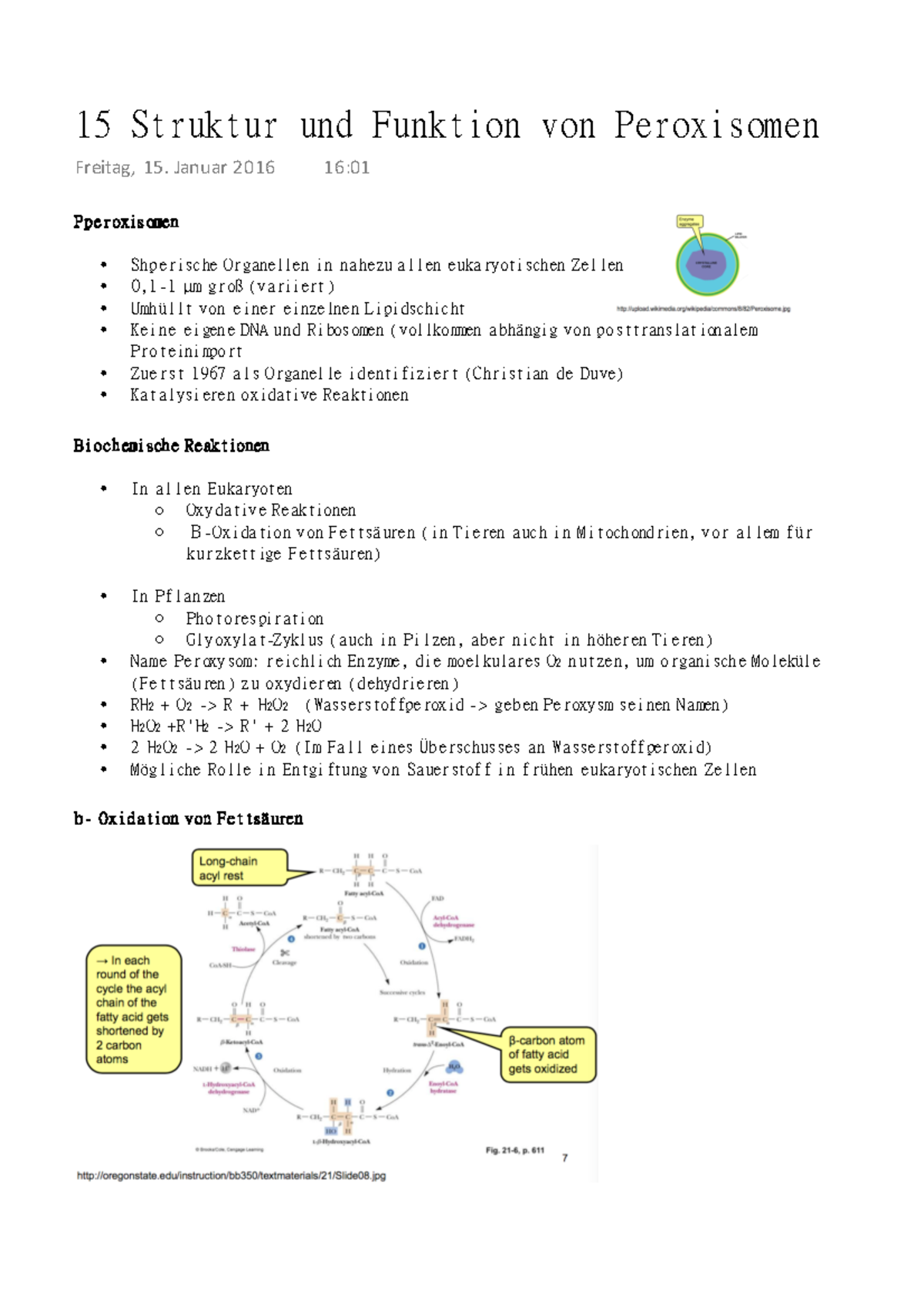 15 Struktur und Funktion von Peroxisomen Januar 2016 1601