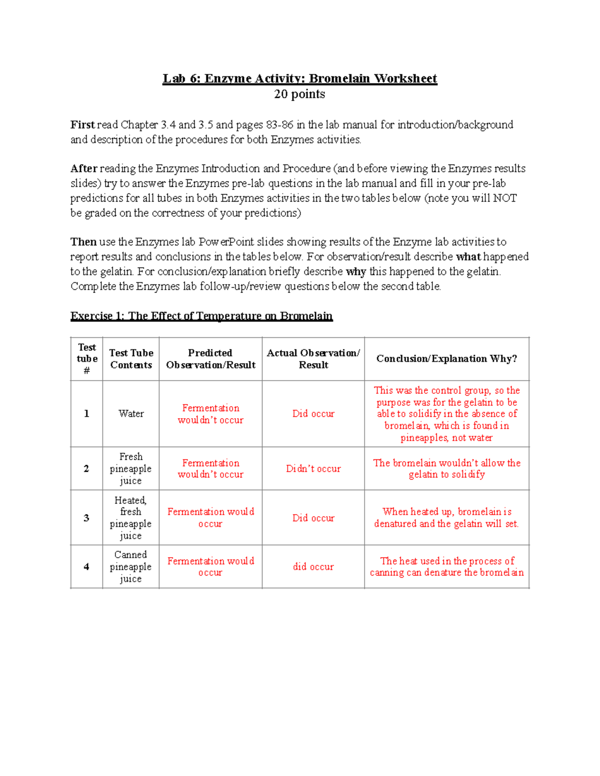 Lab 6 Enzymes online worksheet PDF Lab 6 Enzyme Activity Bromelain