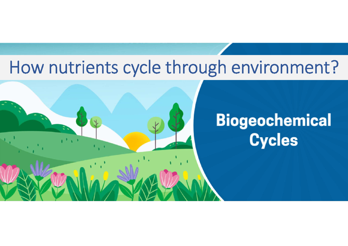 Biogeochemical Cycle2023 How nutrients cycle through environment