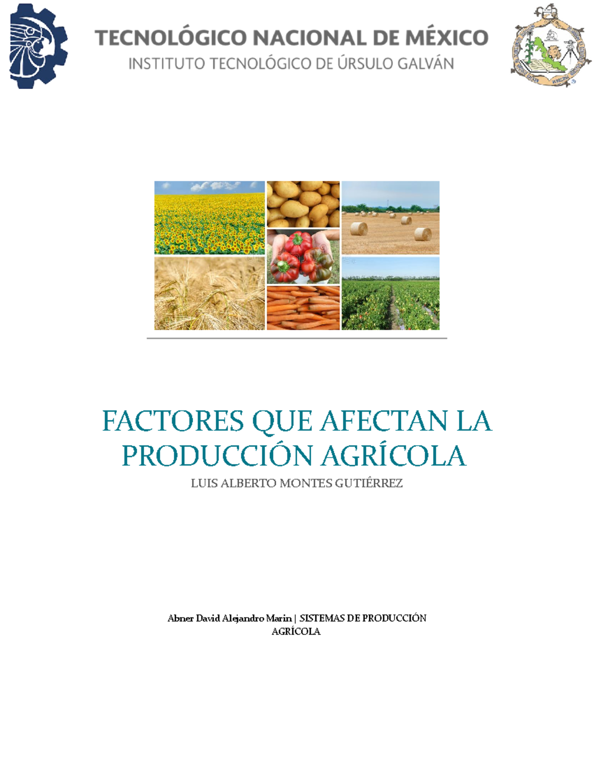 Factores Que Afectan O Favorecen La Producción De Los Cultivos. – VNMNM