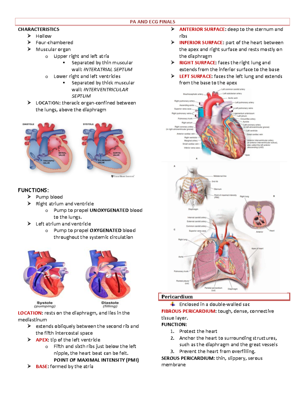 PA AND ECG Finals - ........... - PA AND ECG FINALS CHARACTERISTICS ...