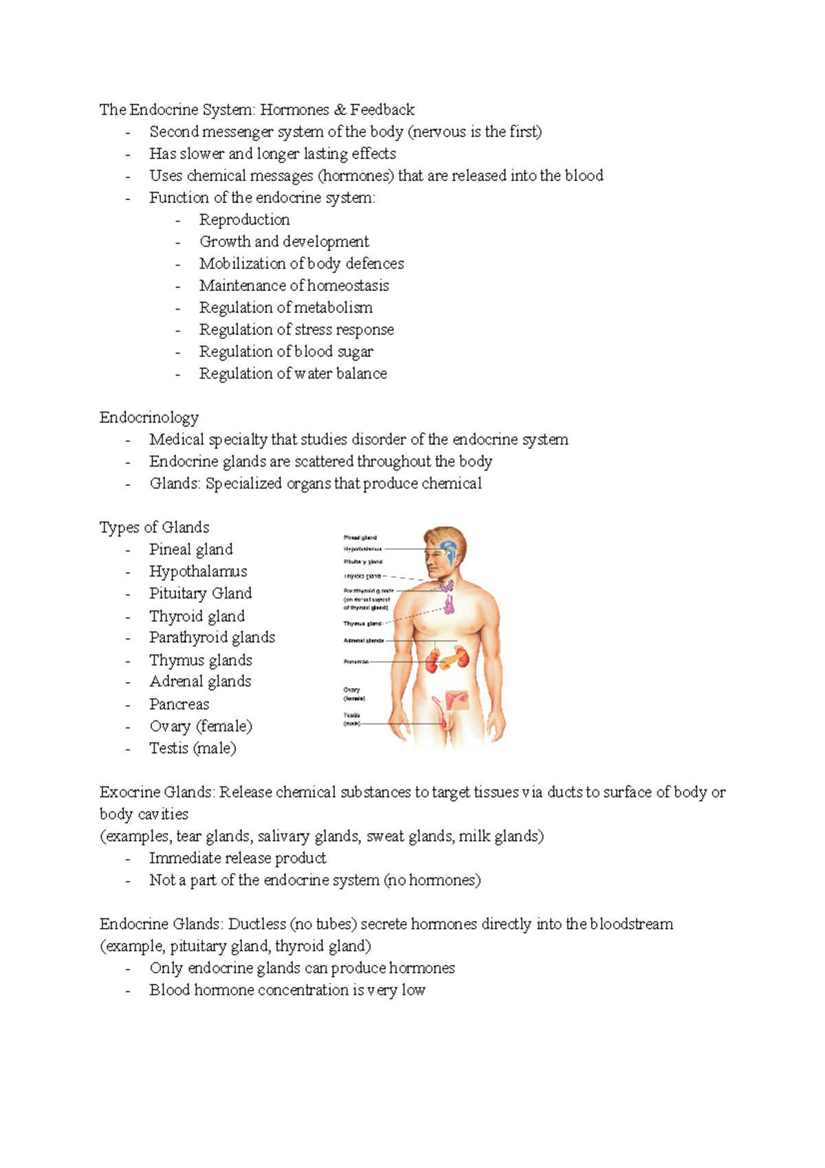 The Endocrine System Hormones Feedback - The Endocrine System: Hormones ...