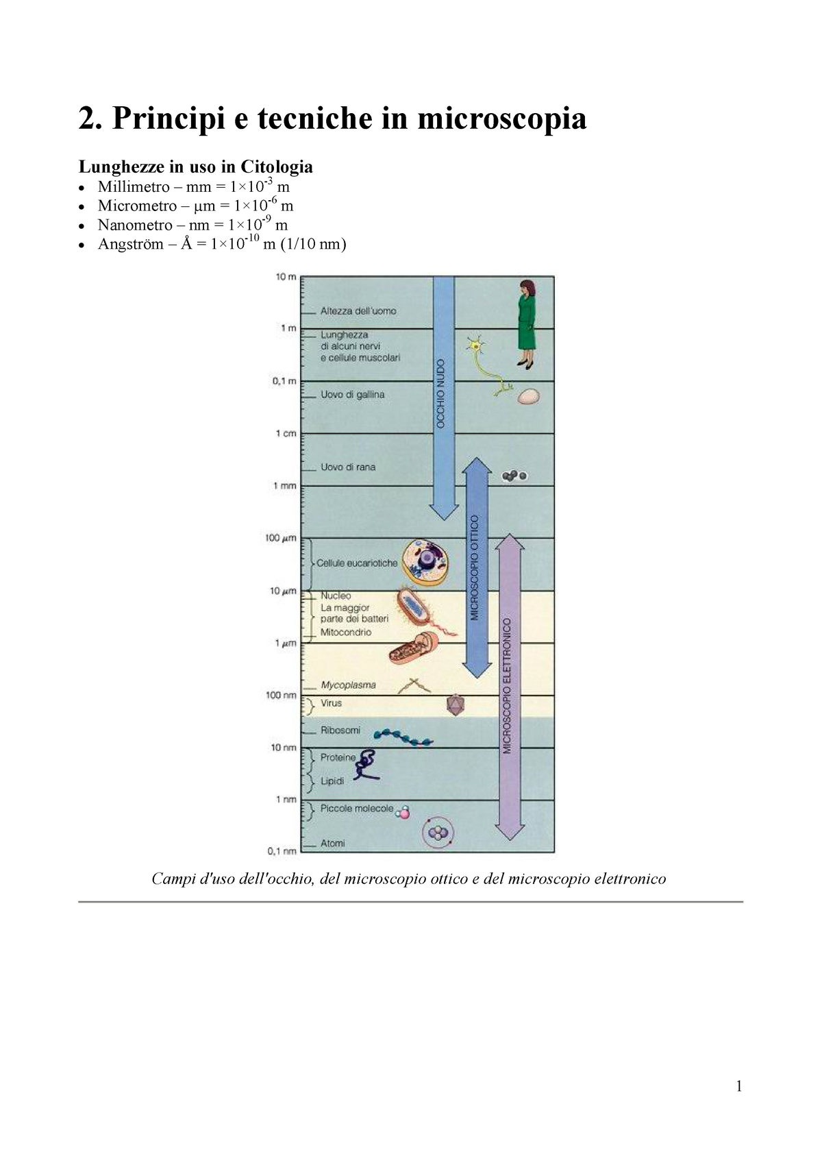 Schema dei raggi nel microscopio elettronico e nel micros