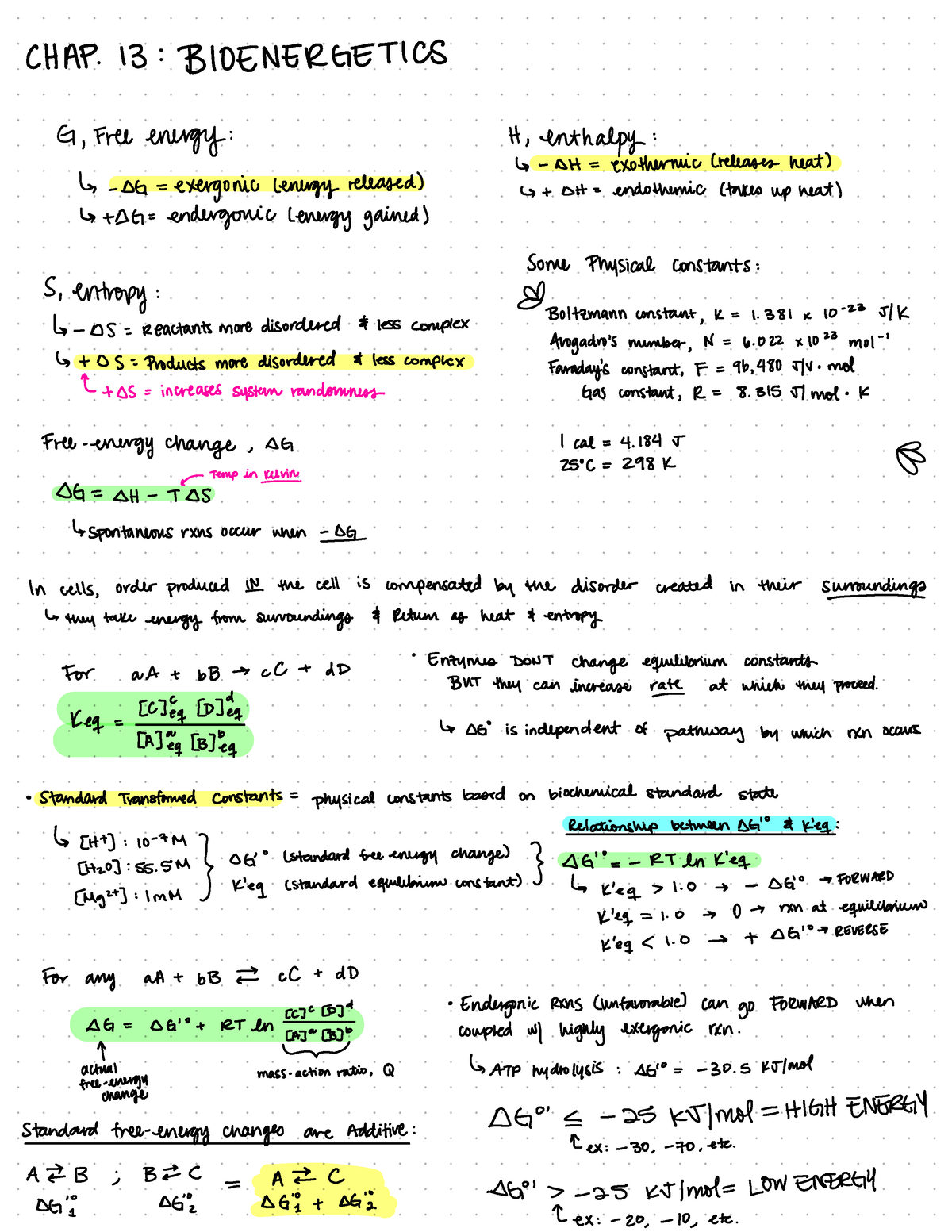 Cap 13 bioenergética - Texto: lehninger principles of biochemistry ...