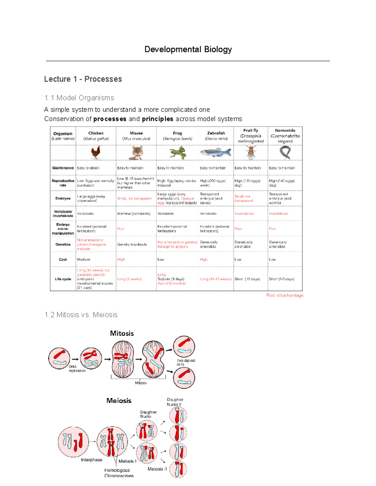 developmental biology assignment topics