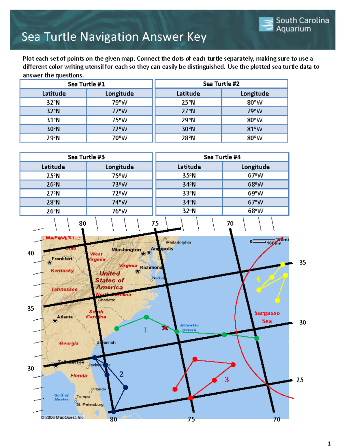 9 12 A Sea Turtles Navigation Worksheet Answer Key 1 Sea Turtle