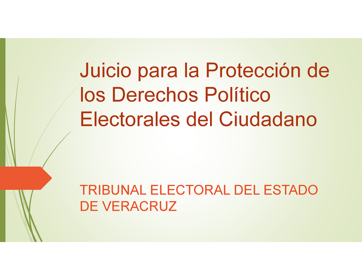 Proteccion De Los Derechos Politico Electorales Del Ciudadano Juicio Para La Protección De Los 9781
