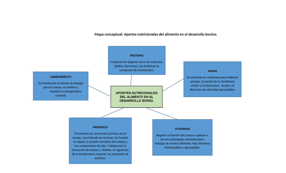 Mapanconceptual 2465ef9da562930 Mapa Conceptual Aportes Nutricionales Del Alimento En El 1532
