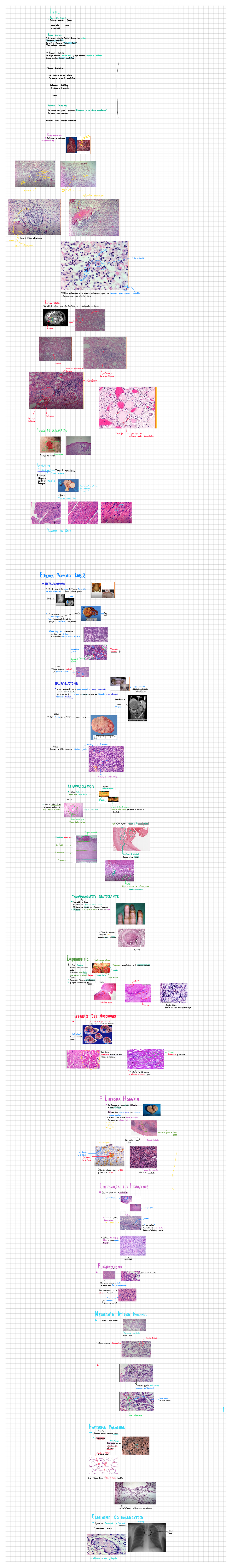 Labs - ####### L A B I ####### E s t e a t o s i s C a m b i o d e C o ...