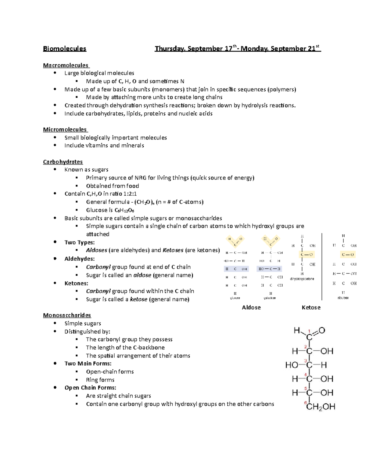Biomolecules Lecture Notes Biomolecules Thursday, September 17th