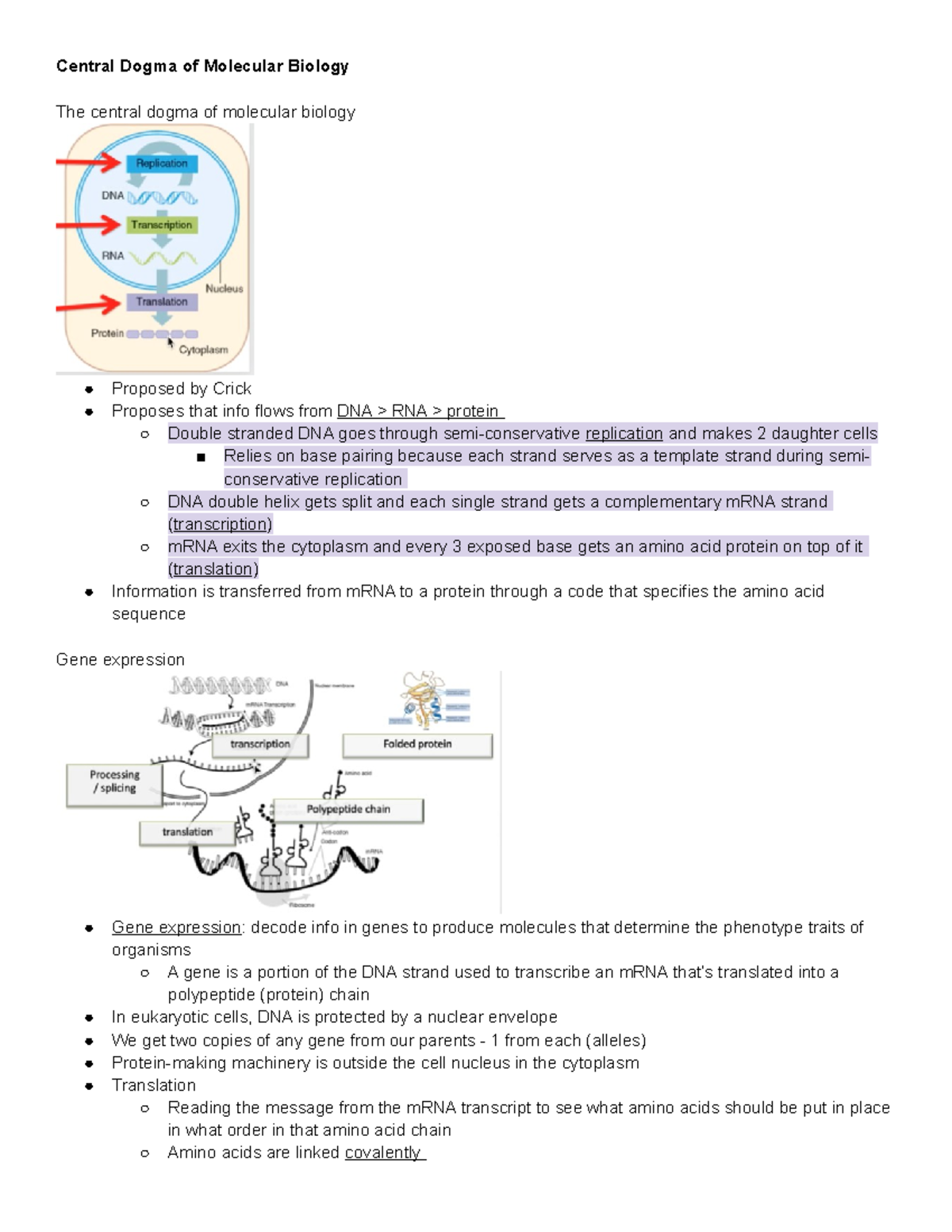 Module 3 Transcription, m RNA Processing and Translation - Central ...