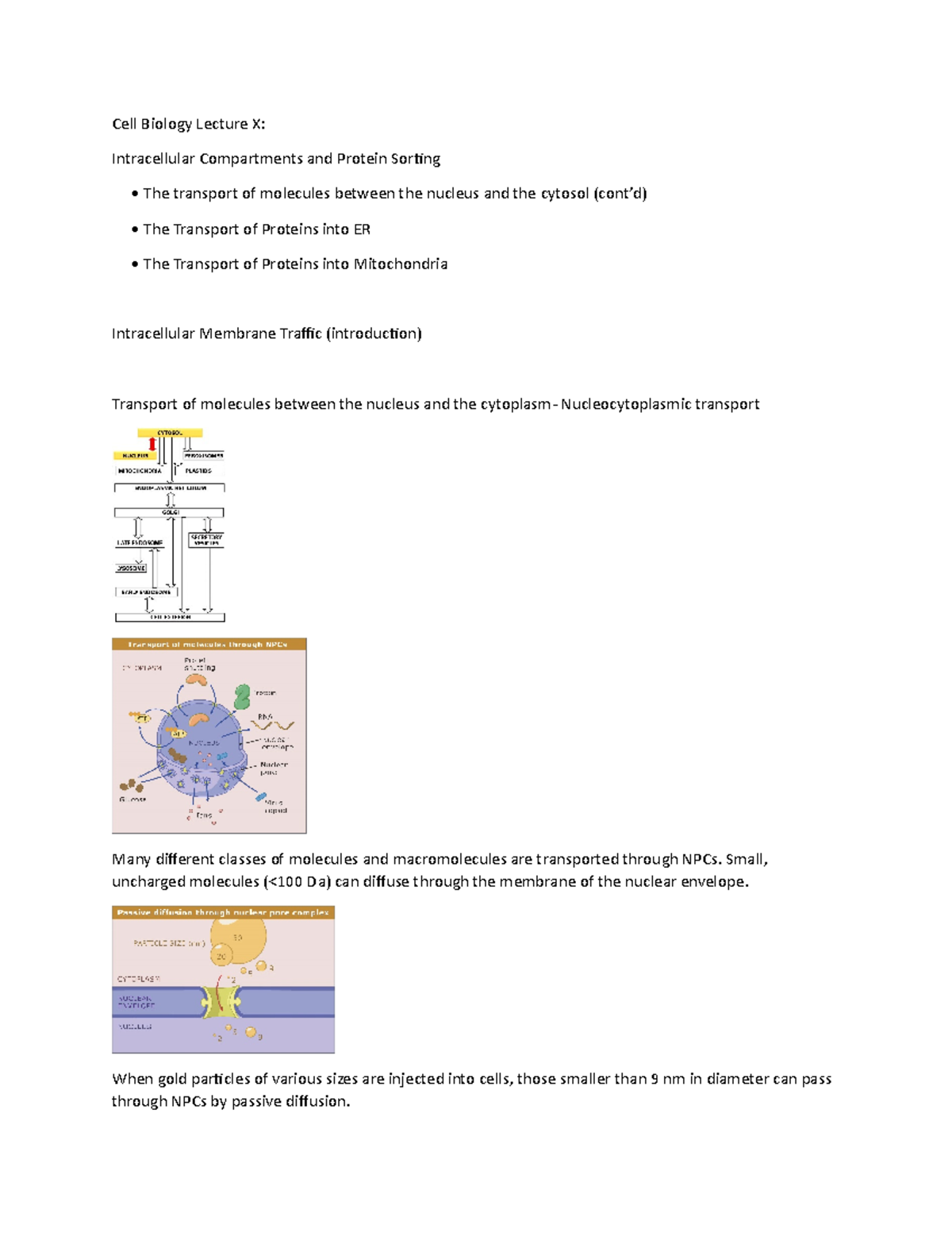 Cell Biology Lecture X - Cell Biology Lecture X: Intracellular ...