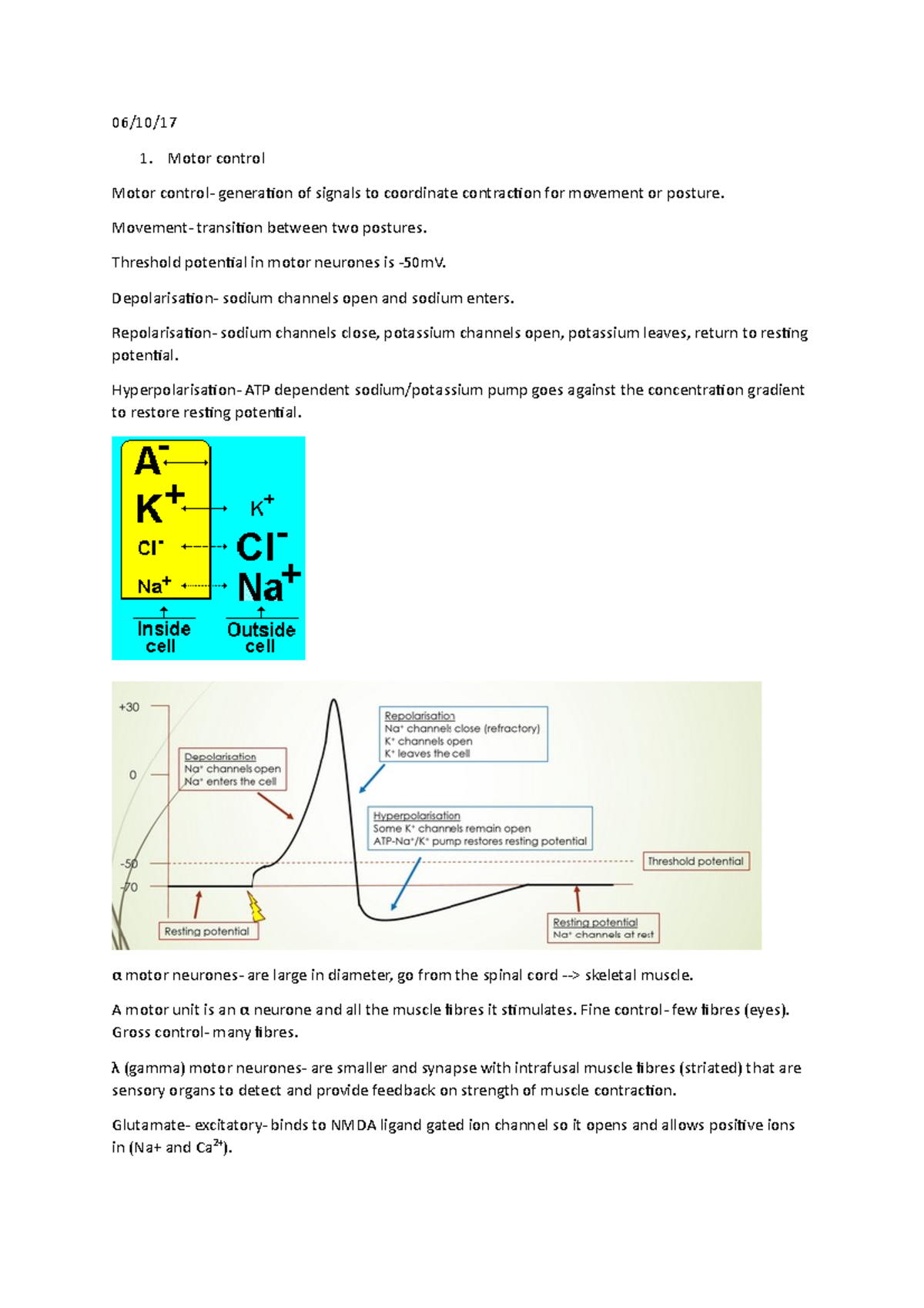 Integration of physiological systems - 06/10/ Motor control Motor ...