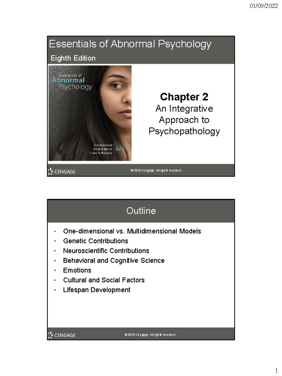 C2 Integrative Approach - Essentials Of Abnormal Psychology Eighth ...