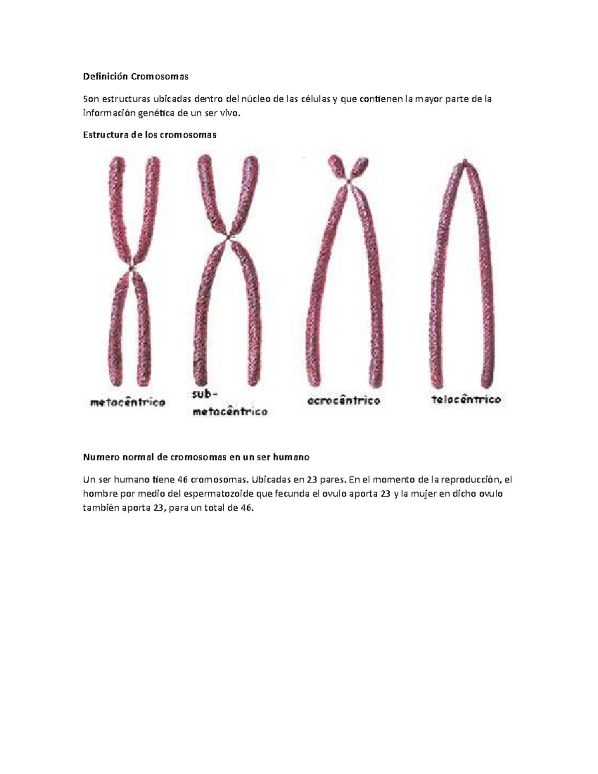 definición de cromosomas