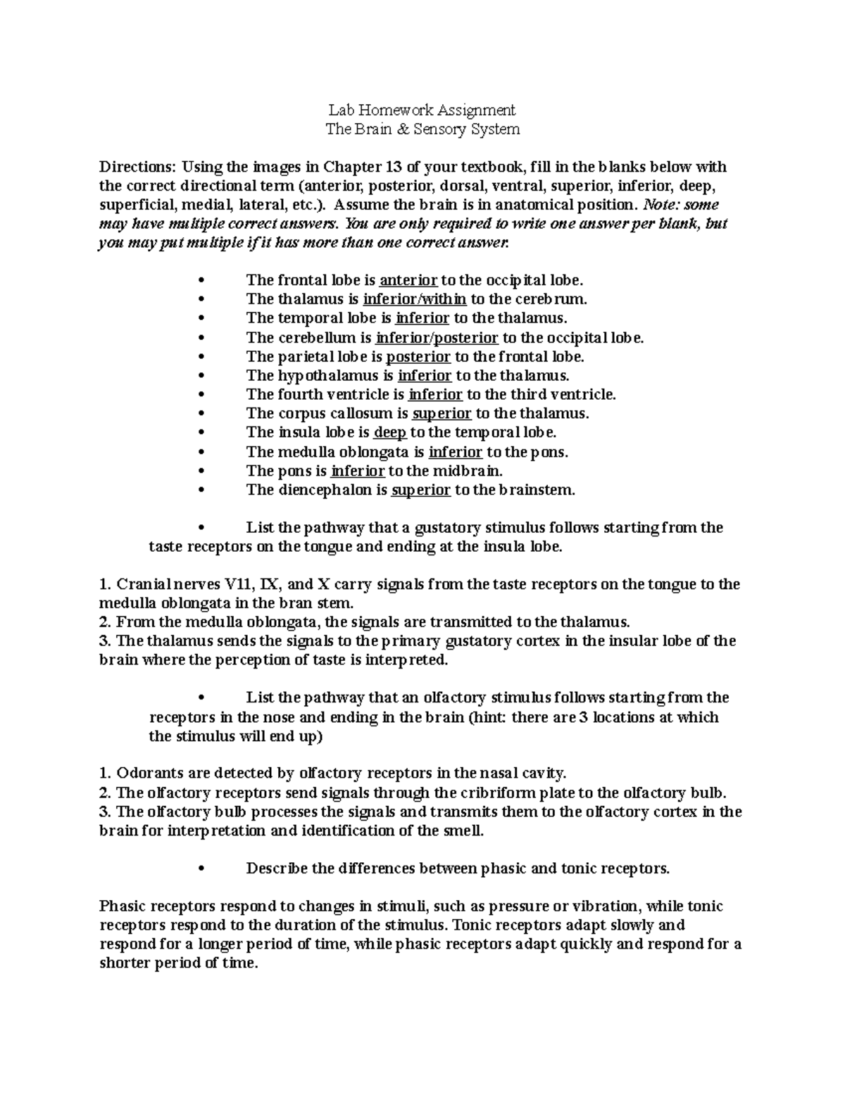 Brain & Sensory System Lab HW 220 - Lab Homework Assignment The Brain ...