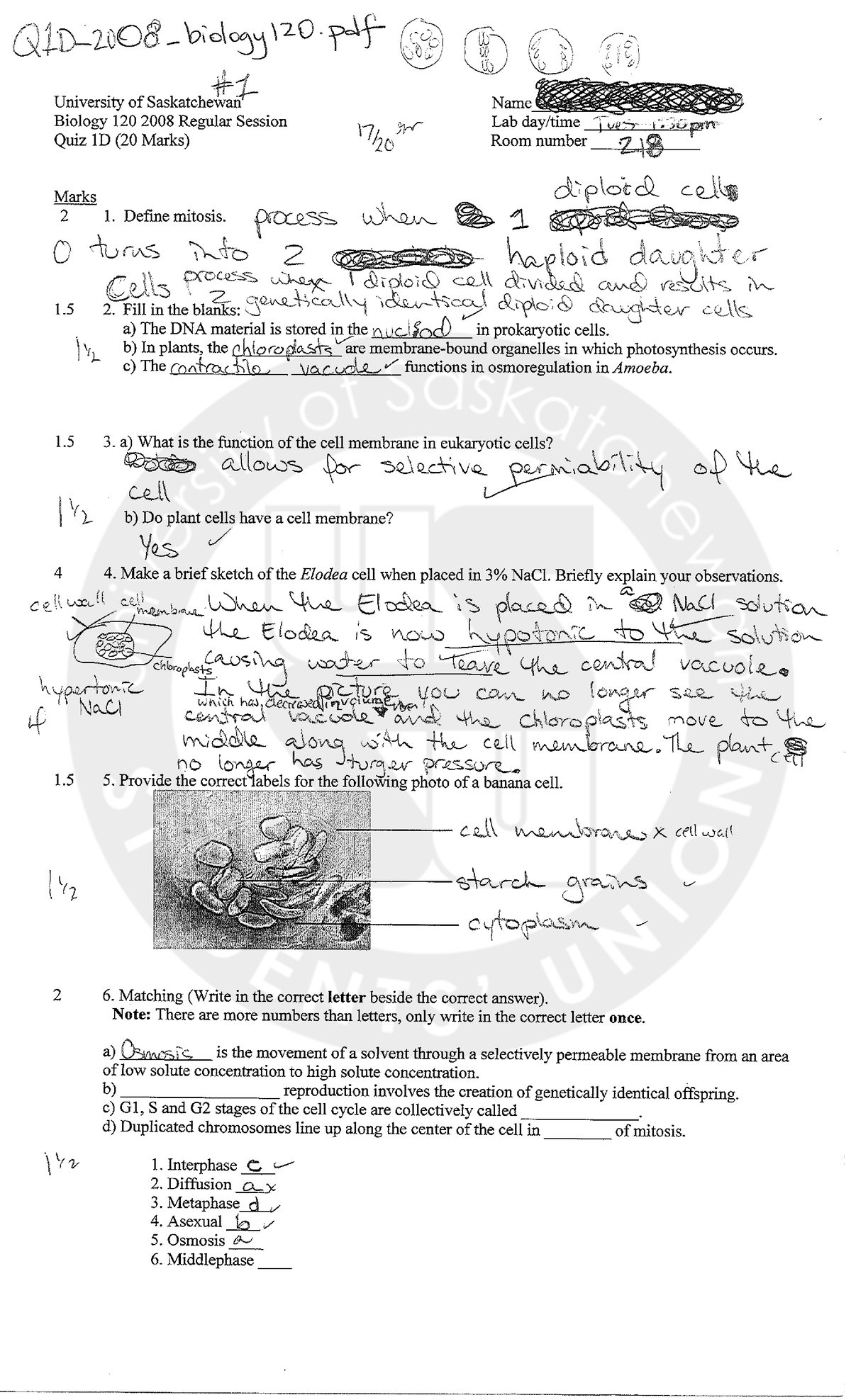 Q1D 2008 Biology 120 - Practice Materils - Studocu