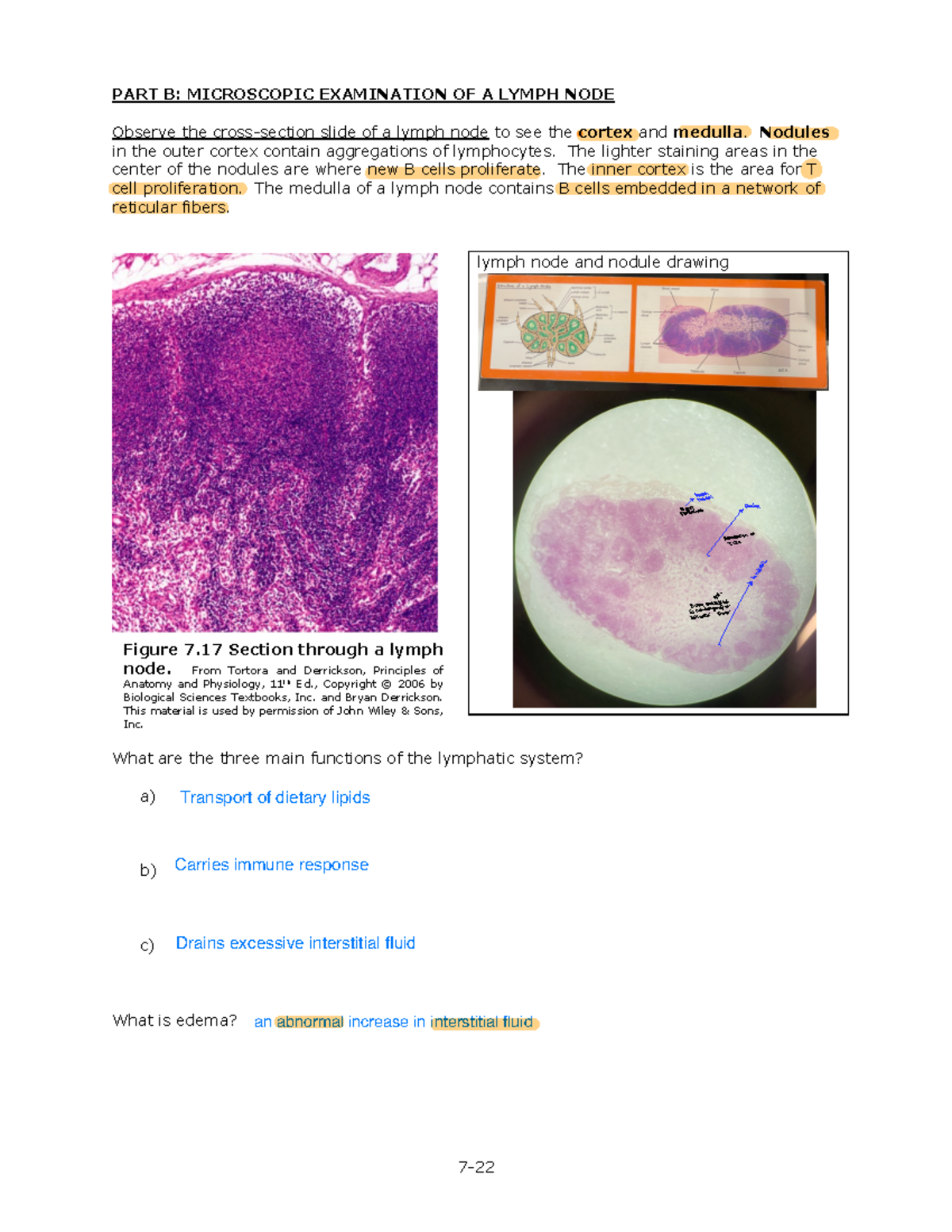 LAB 7 CVS 10 Lab 7 CVS Answer Key 7 PART B MICROSCOPIC