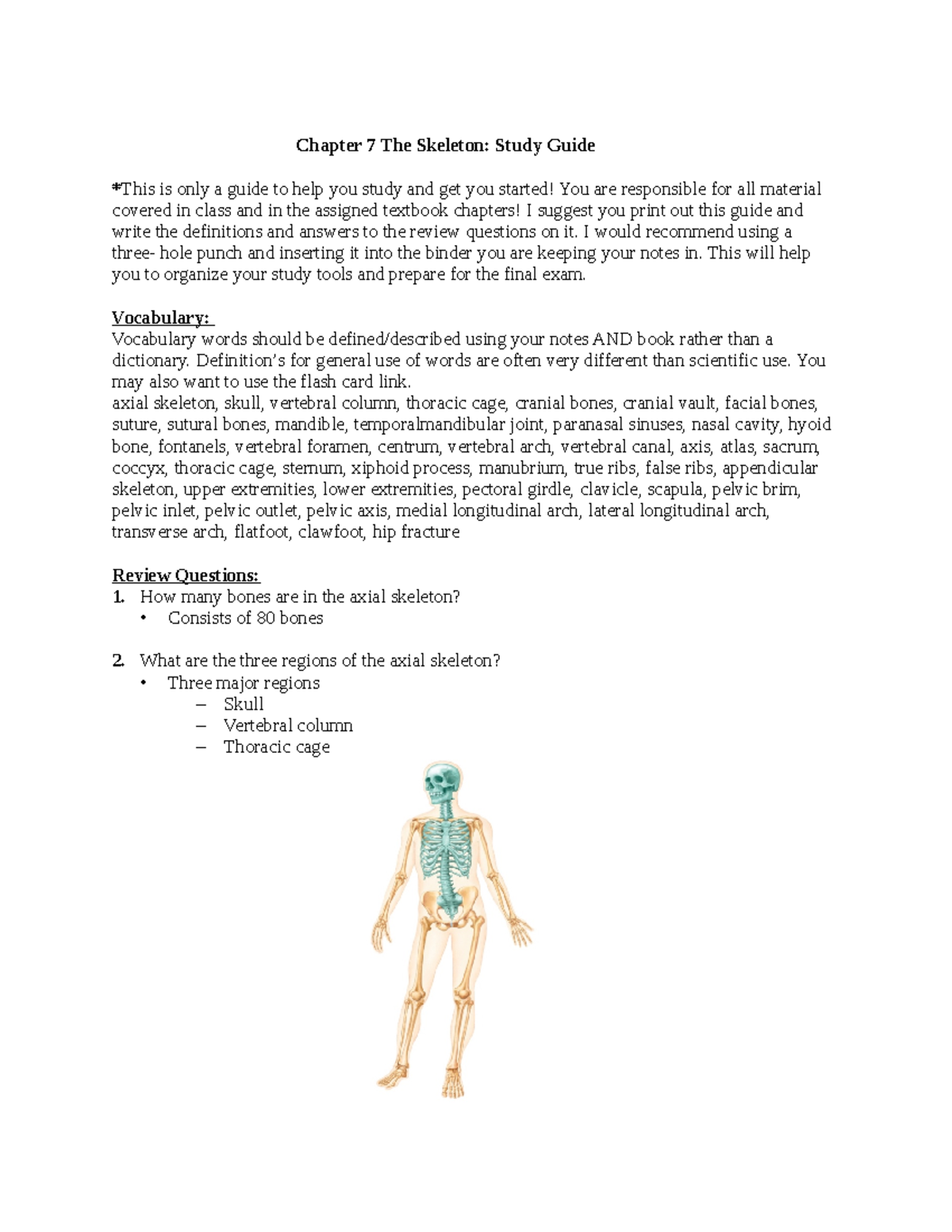 Chapter 7 The Skeleton Study Guide 1 - Chapter 7 The Skeleton: Study ...