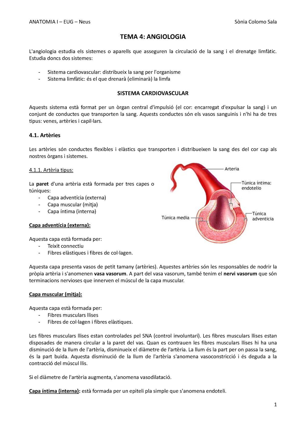 Cintura Escapular - Anatomia I