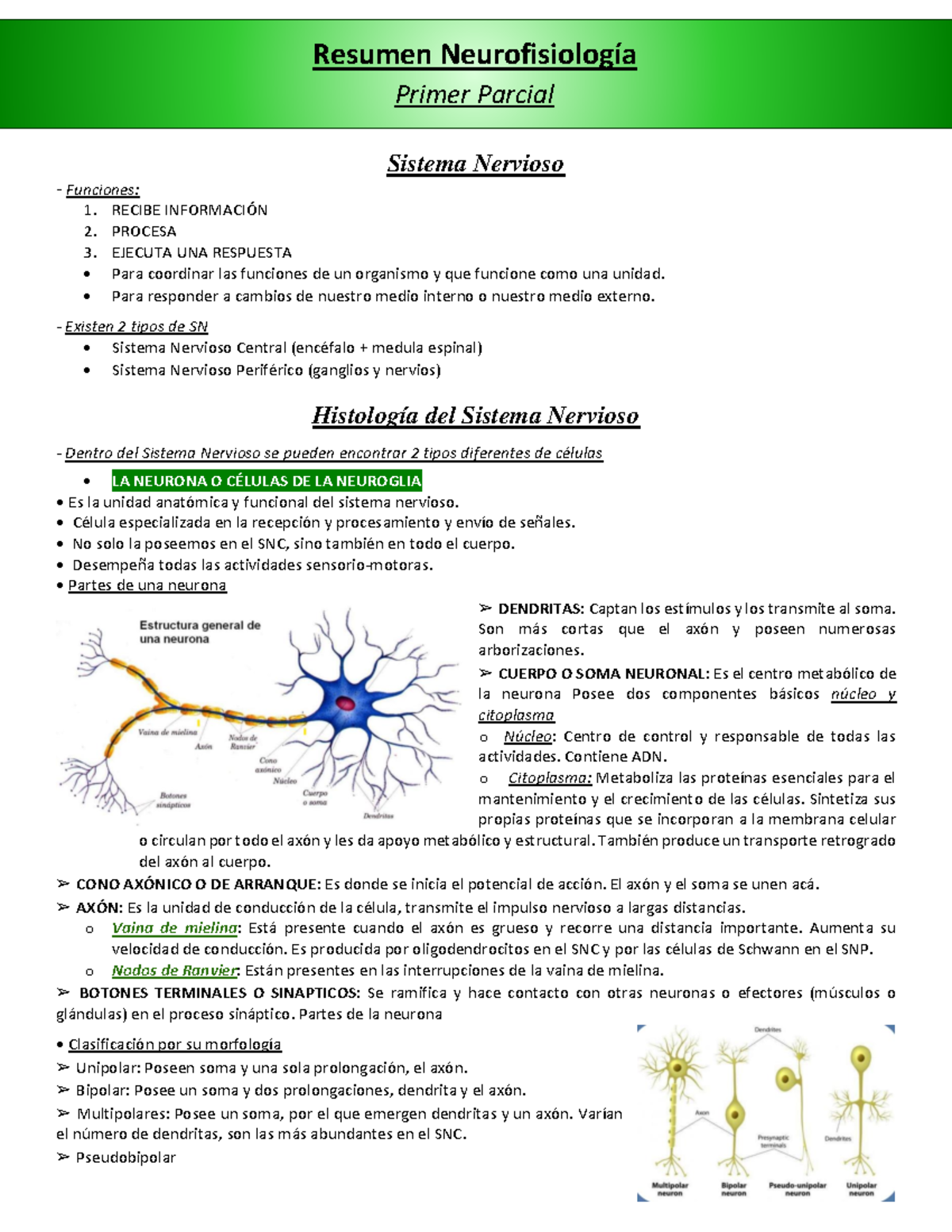 Resumen Primer Parcial - Neurofisiologia - Kuffa - Sistema Nervioso ...