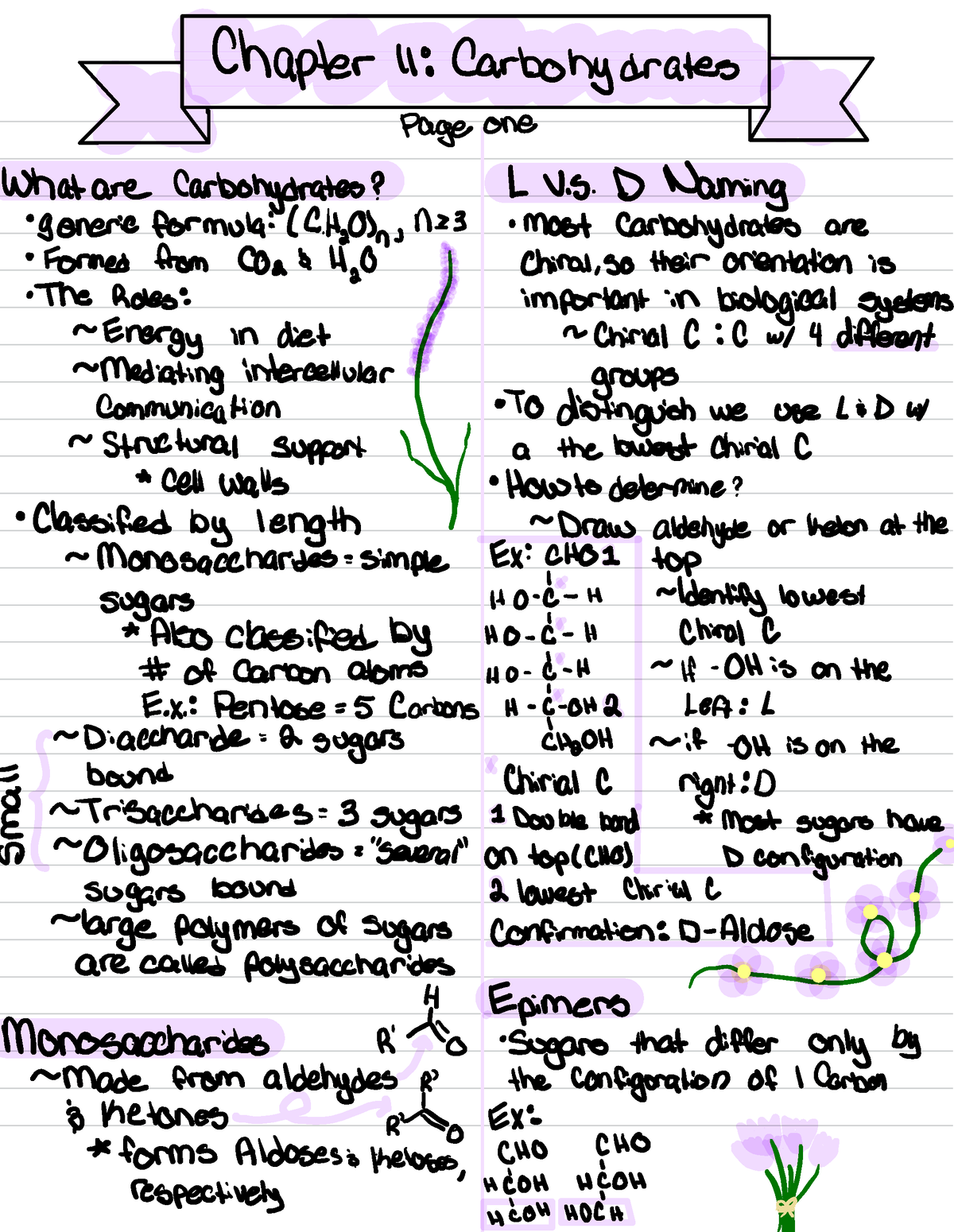 Chapter 11 - Chapter 11: Carbohydrates I Page one What are ...