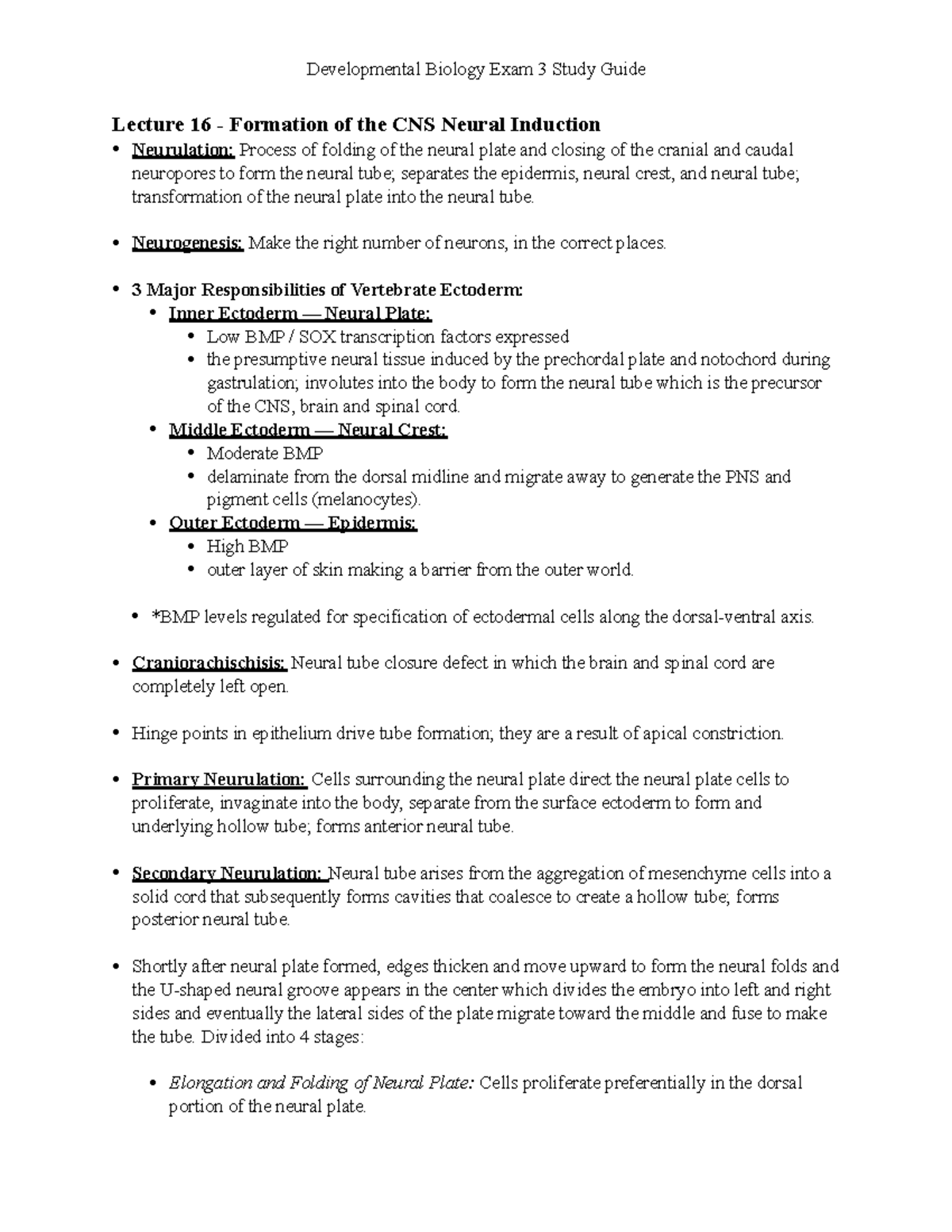 Developmental Biology Exam 3 Study Guide - • Neurogenesis: Make the ...