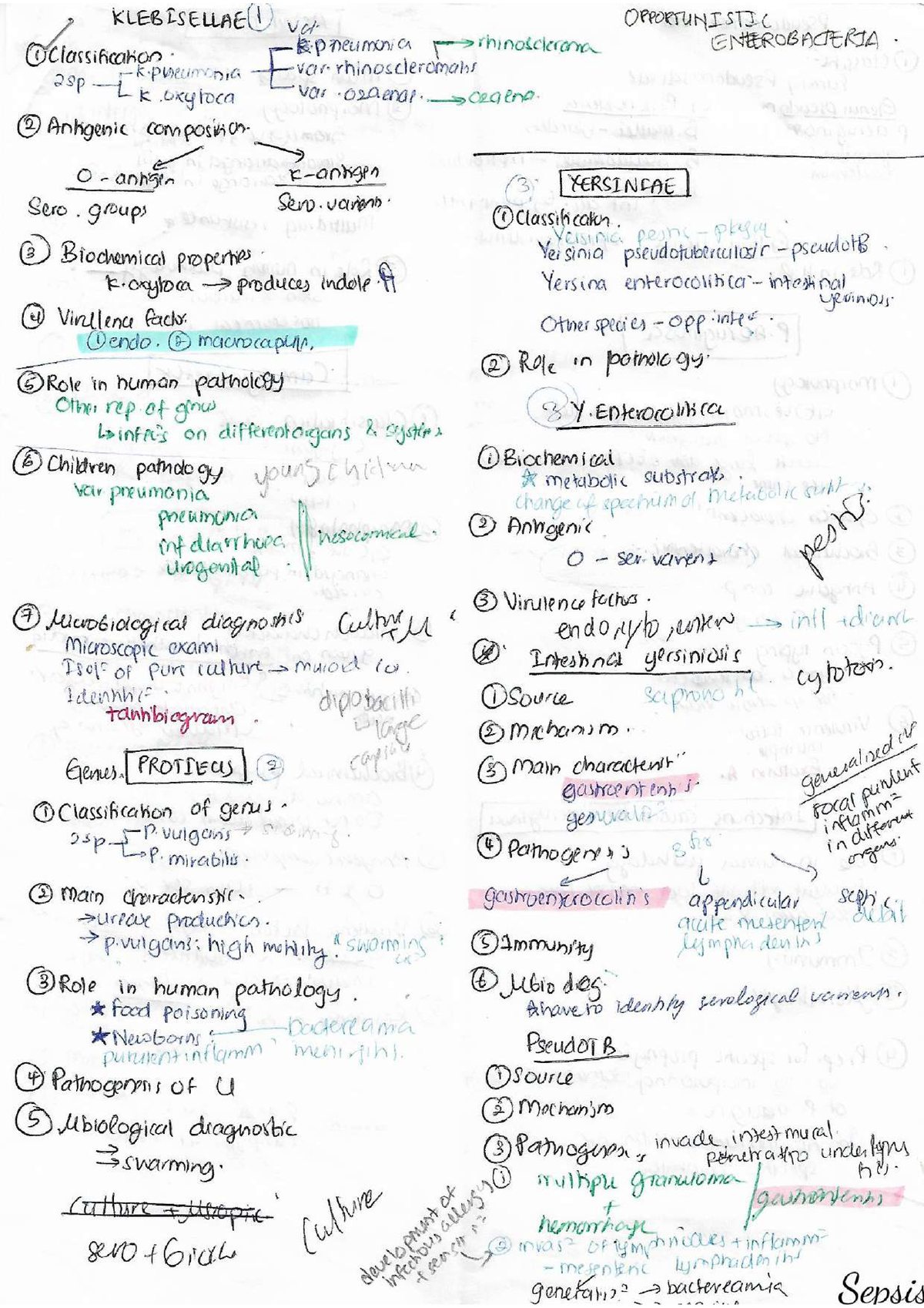 Medical Bacteriology Notes-5 - Microbiology - Studocu