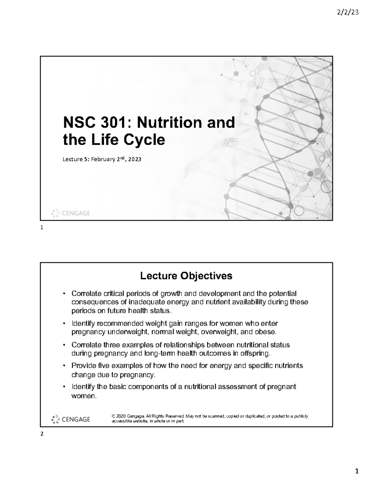 NSC 101 Lecture 5 - NSC 301: Nutrition And The Life Cycle Lecture 5 ...