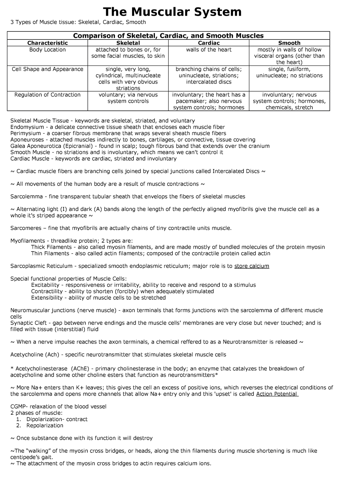 chapter 6 homework anatomy and physiology